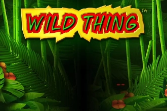 09505 wild thing