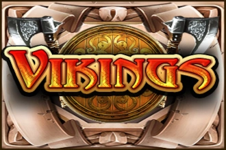 14556 vikings